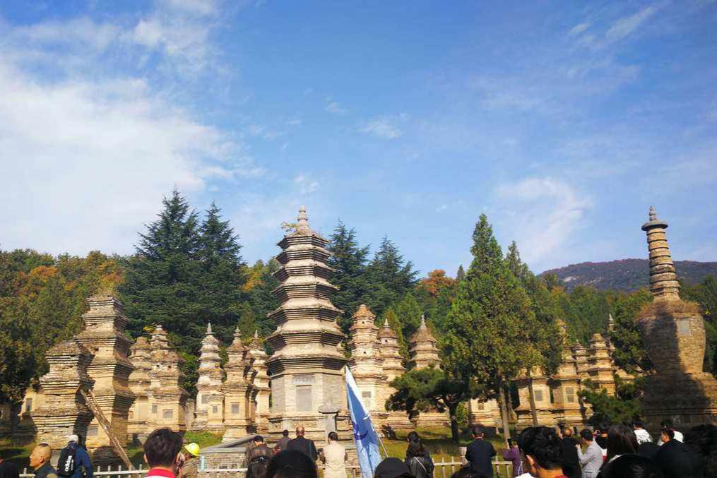 少林寺塔林,中国古塔艺术博物馆 少林寺塔林,位于河南省郑州市登封市