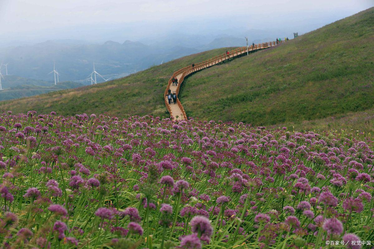 川河盖风景区游玩攻略 川河盖风景区,位于四川省达州市宣汉县,这里
