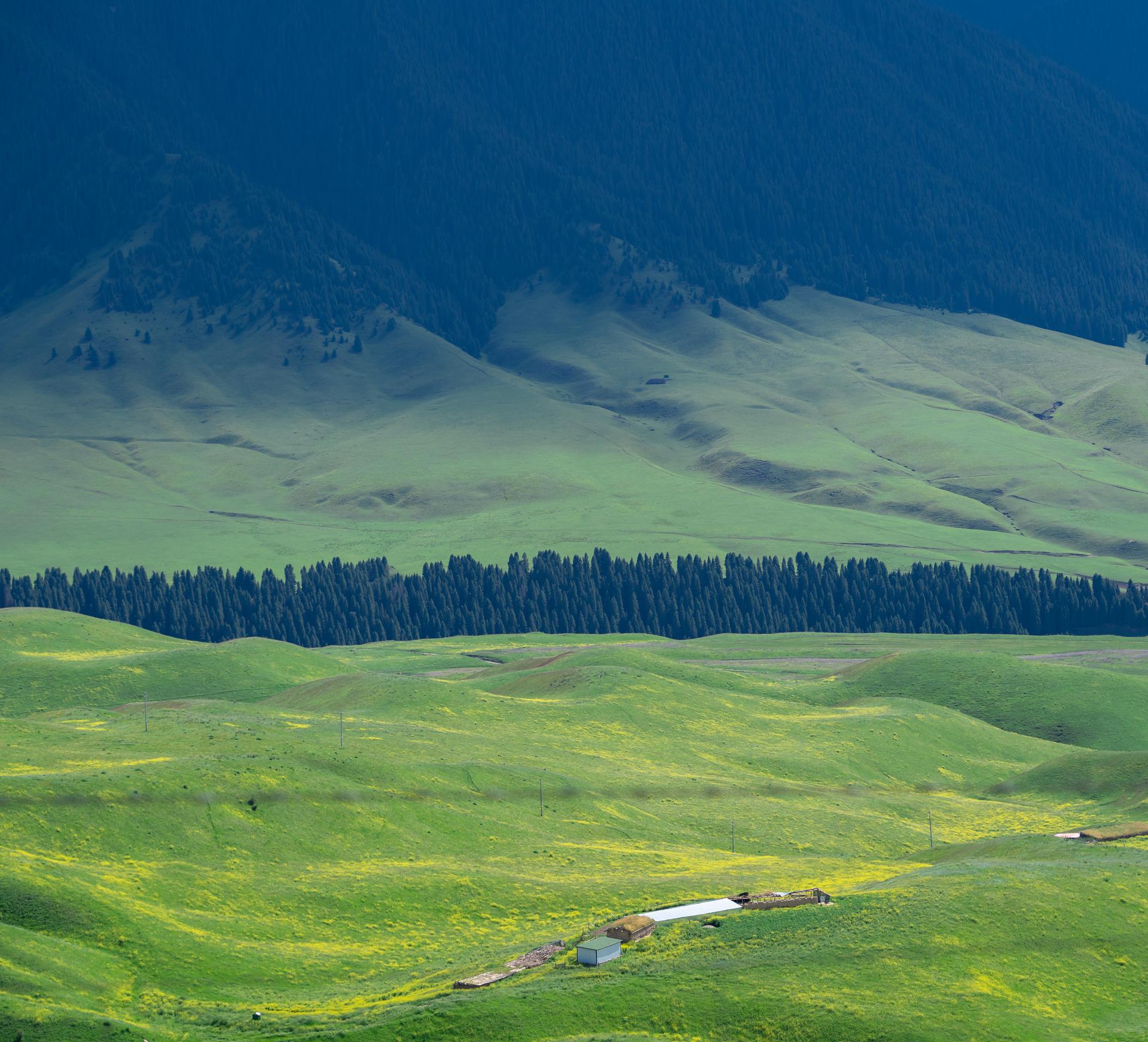 新疆草原之美琼库什台 大草原琼库石台草原被称为天山腹地的世外桃源