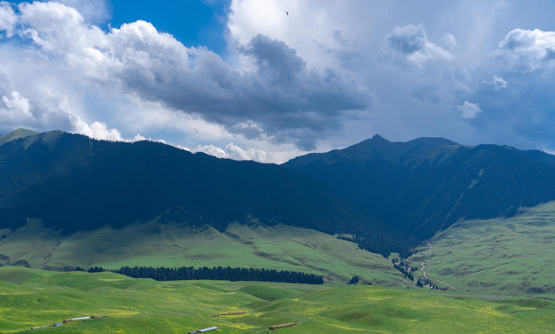 新疆草原之美琼库什台 大草原琼库石台草原被称为天山腹地的世外桃源