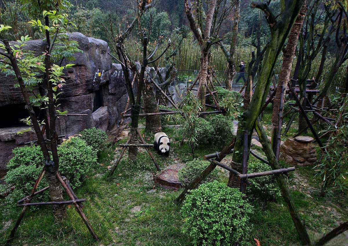 栾川竹海野生动物园游玩攻略 栾.@杰夫游世界的动态