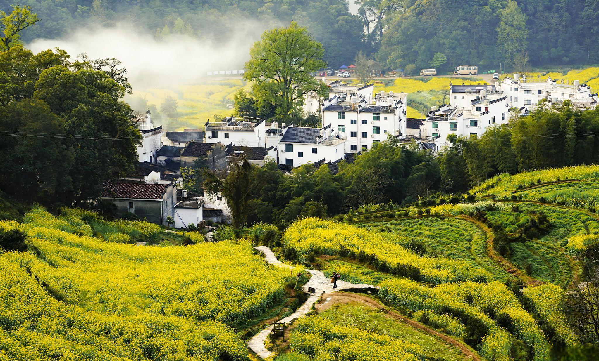 中国第一美景乡村图片