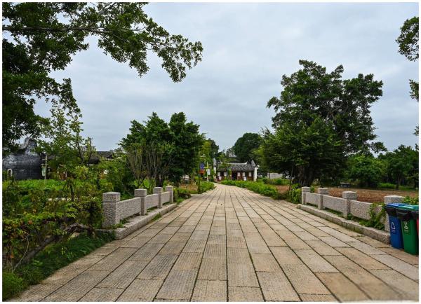 仓山区的福州中庚聚龙酒店作为下榻之地,而这里竟与梁厝特色历史文化