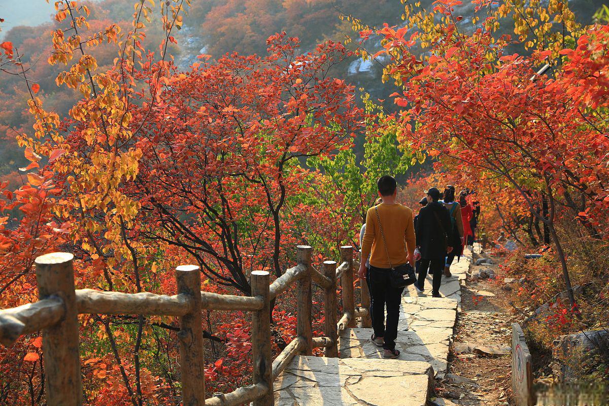 邢台九龙峡风景区图片