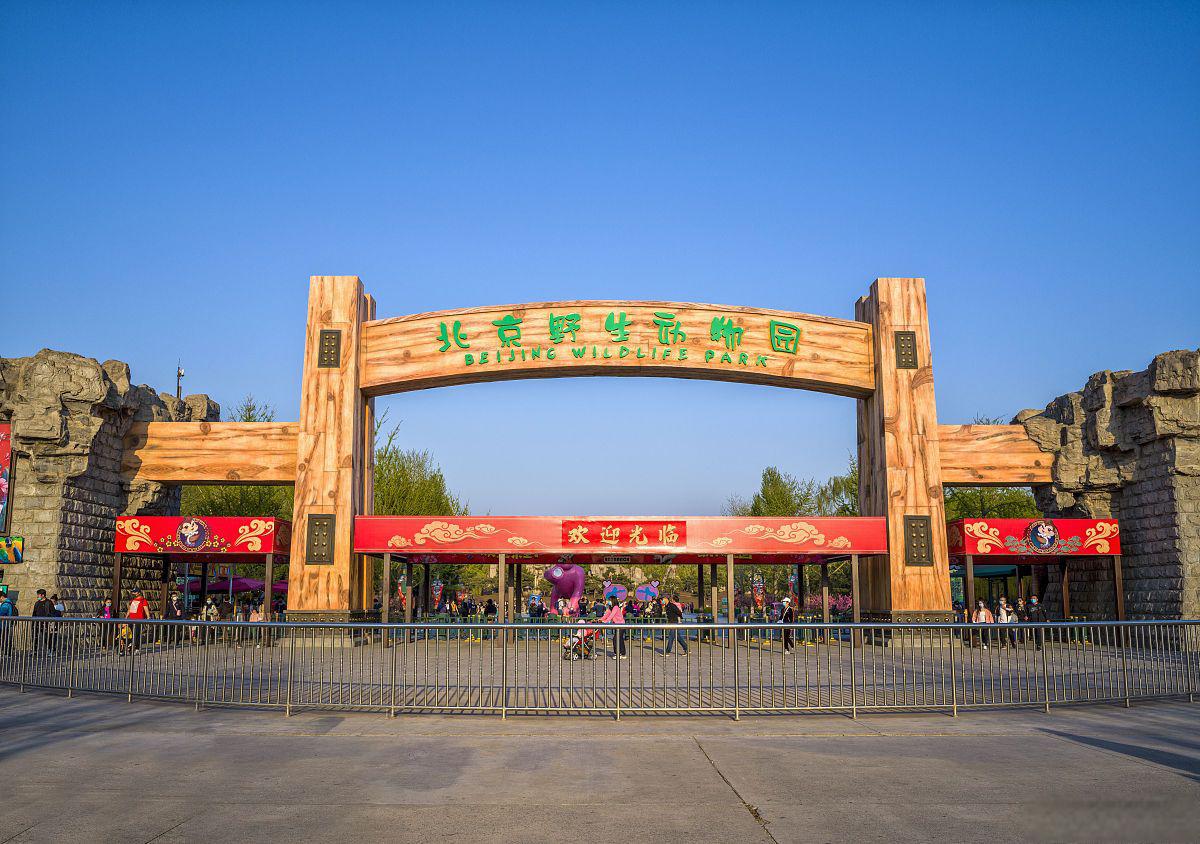北京野生动物园有多大图片
