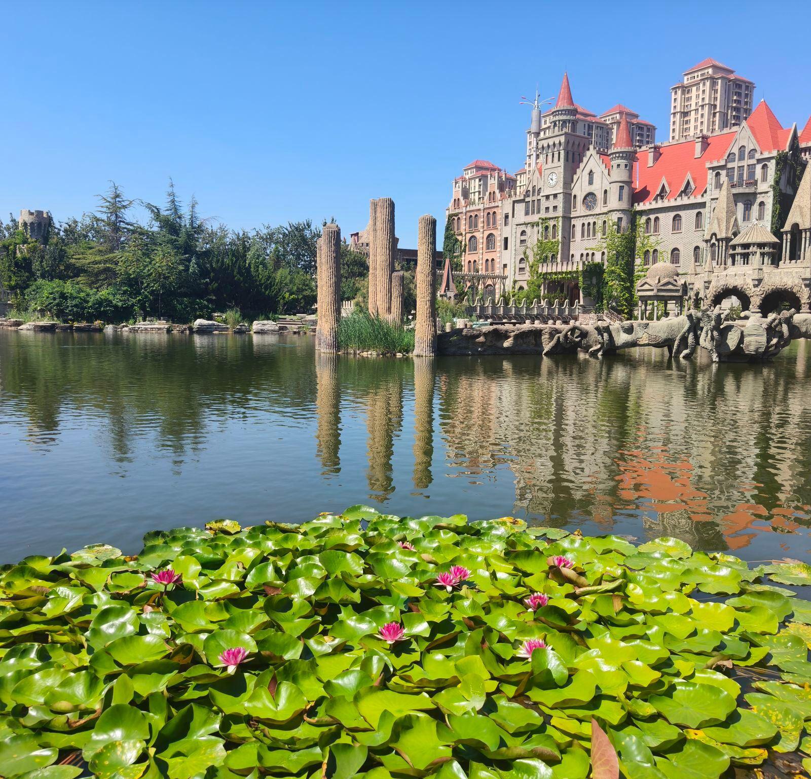 中华石园:一座充满艺术气息的园林 天津市津南区的微山路,隐藏着一座