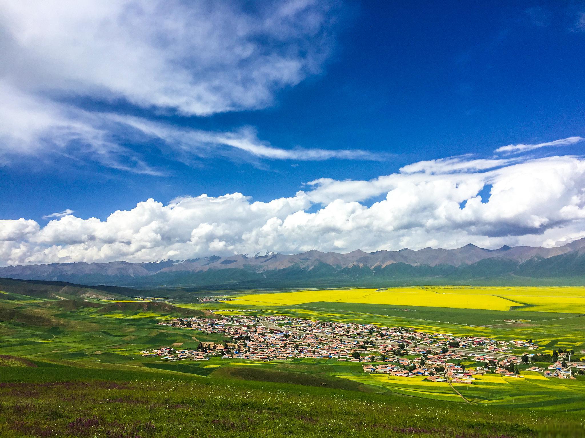 门源旅游景点大全 门源,位于中国青海省东北部,拥有丰富的旅游资源.