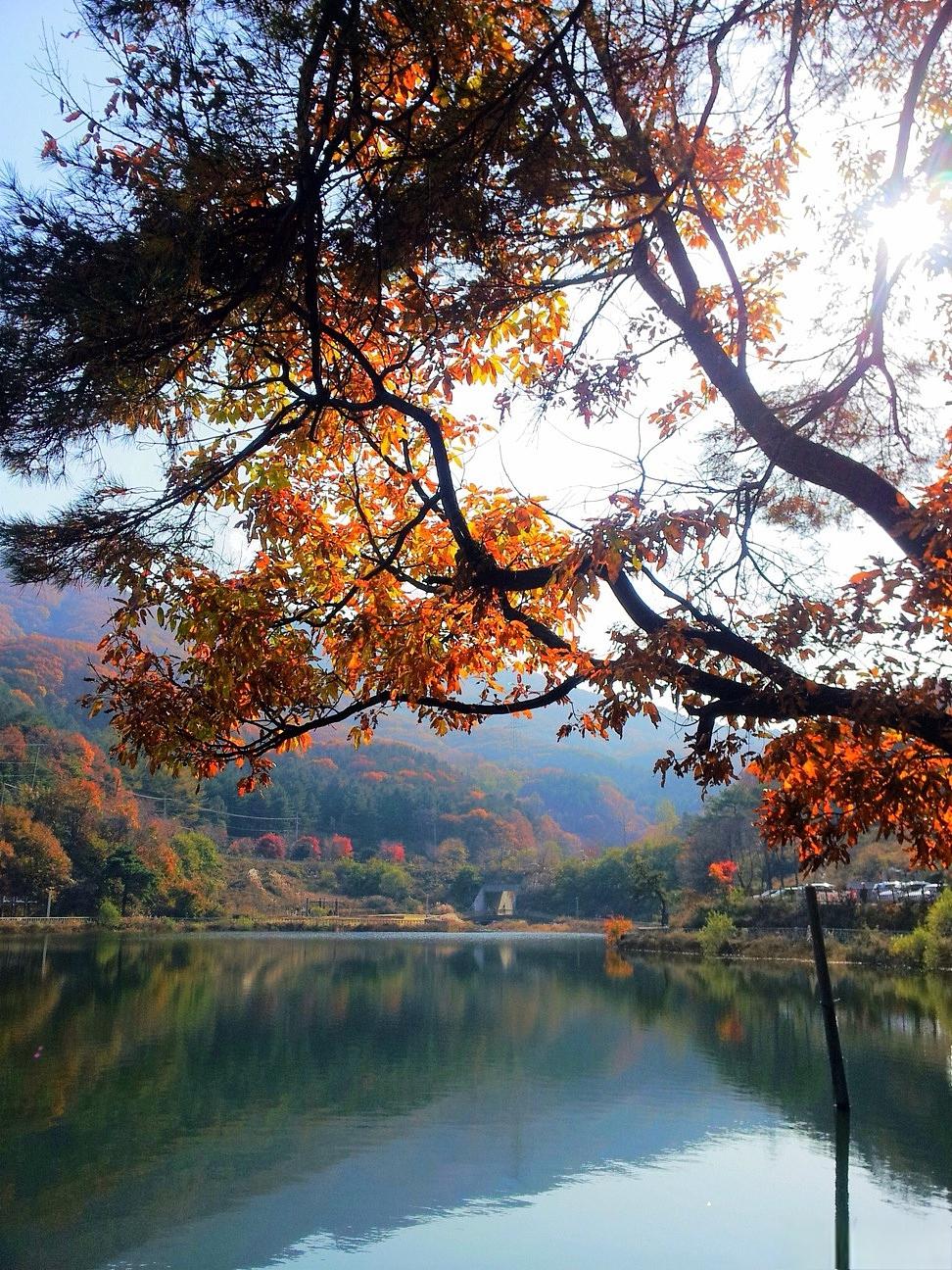 永安市的秋景:宛如画中游 永安市,这座位于中国福建省的美丽城市,以其