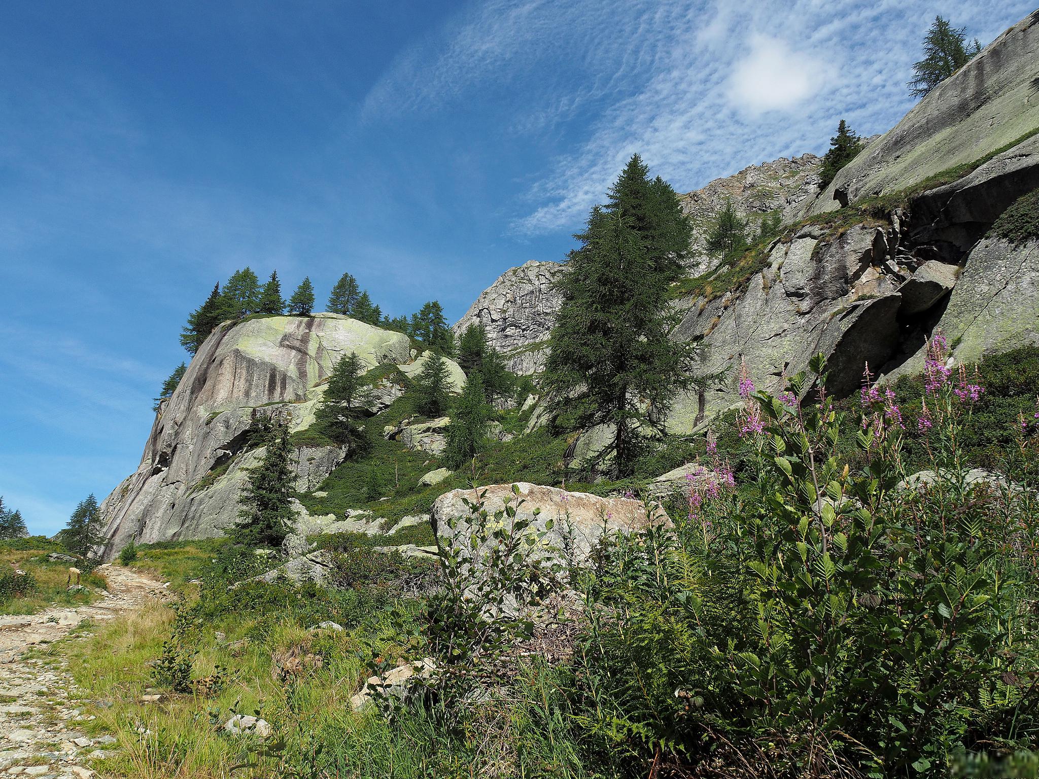 景区占地面积广阔,包括青龙峡大峡谷,青龙山,玉皇台等多个景点,是北京