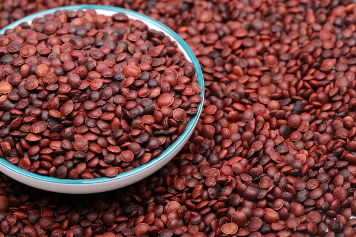 酸枣仁价格飙升,中药材市场掀起波澜 酸枣仁价格飙升至千元,中药材