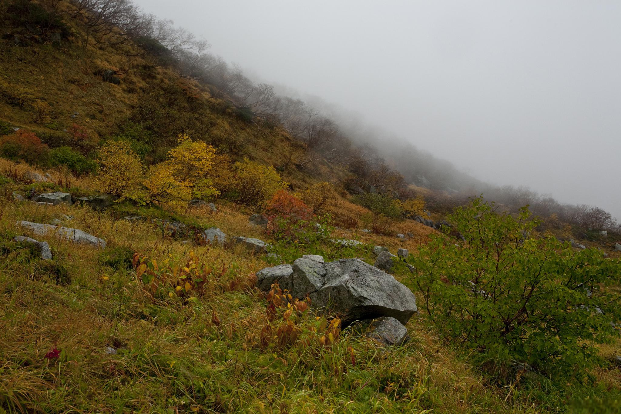 子午岭四季之美 子午岭,一个位于中国黄土高原上的神秘之地,拥有着