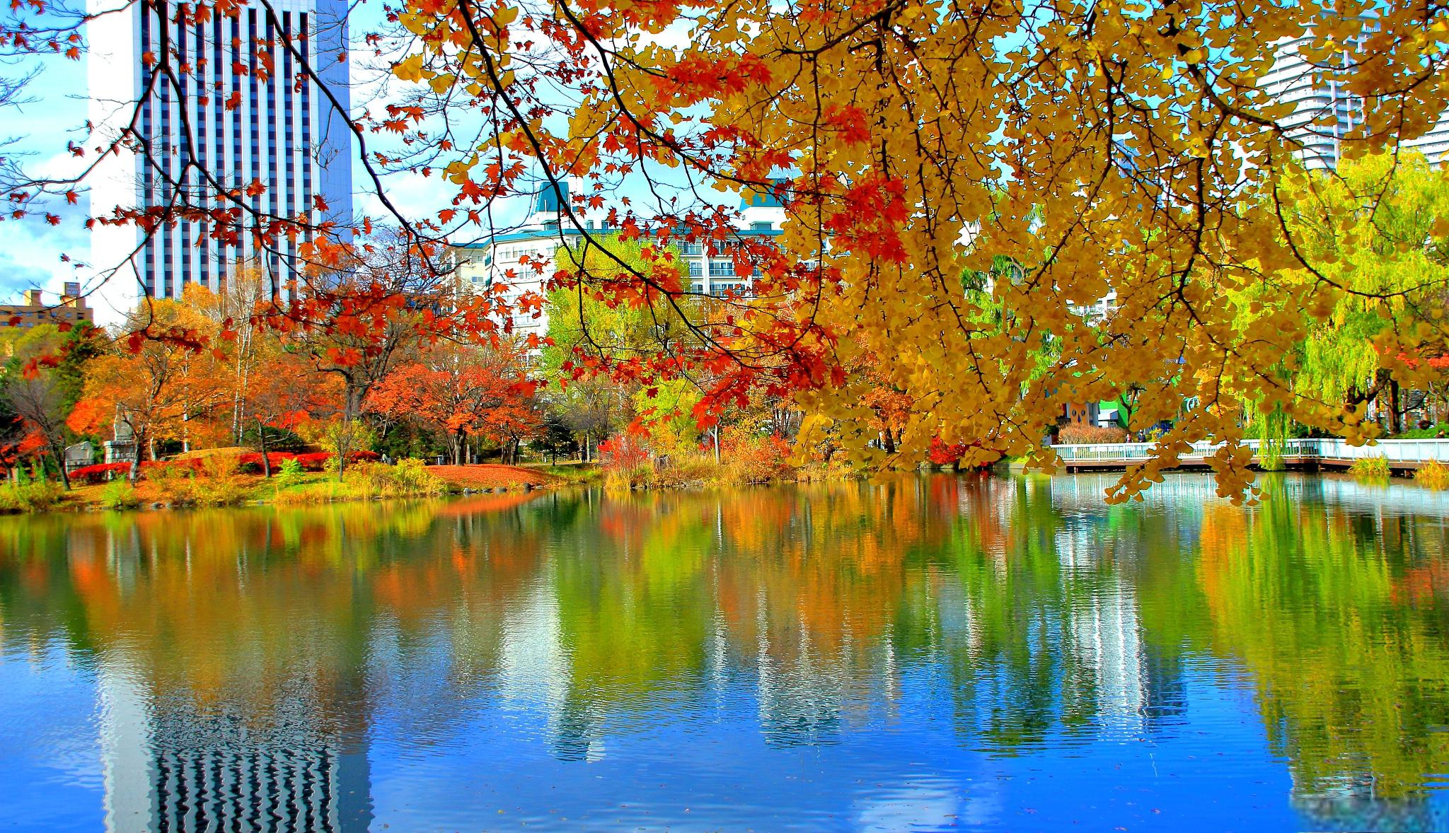 驻马店秋季美景推荐 驻马店,位于河南省中南部,是一个充满历史和文化
