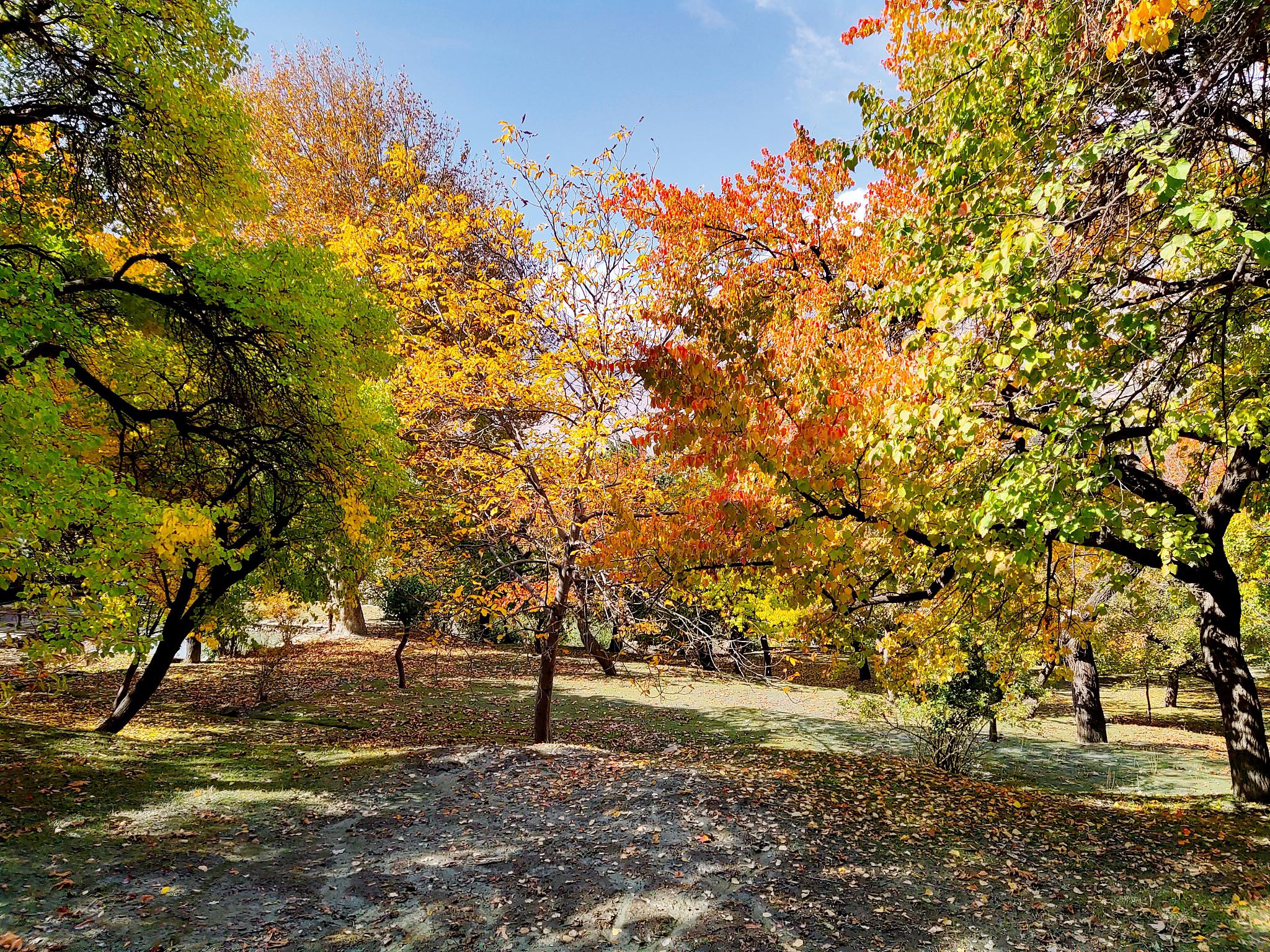 北京市植物园秋季旅游攻略 秋季的北京市植物园景色优美,气候宜人,是