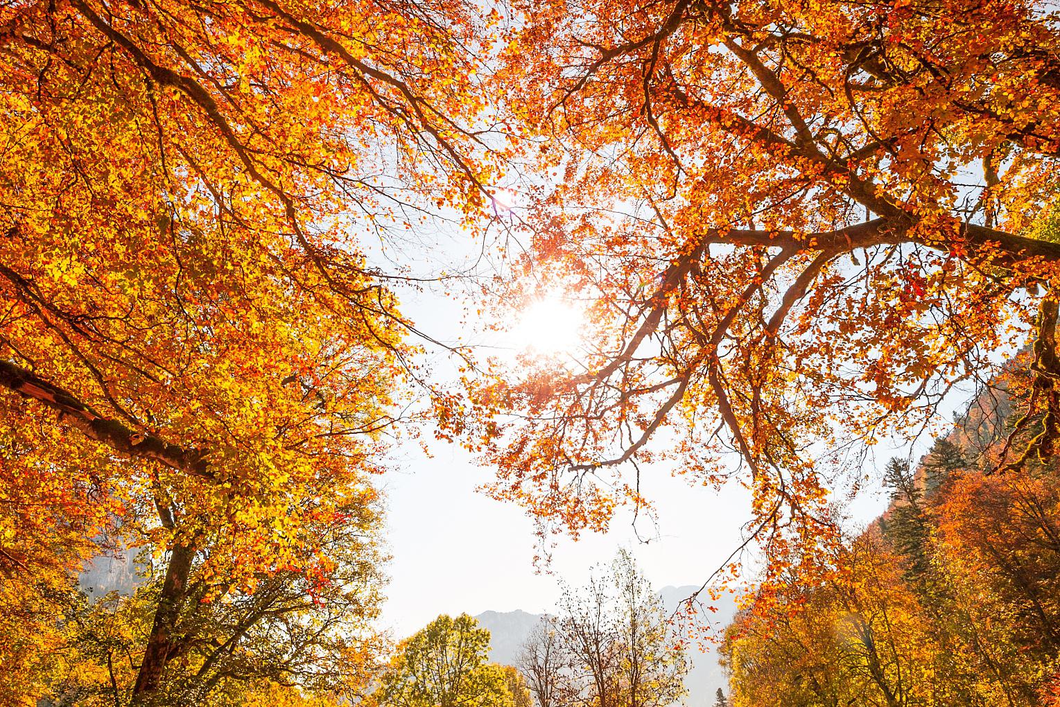 秋日环游指南 登高俯瞰秋景,感受大自然的神韵秋天,这个充满诗意的