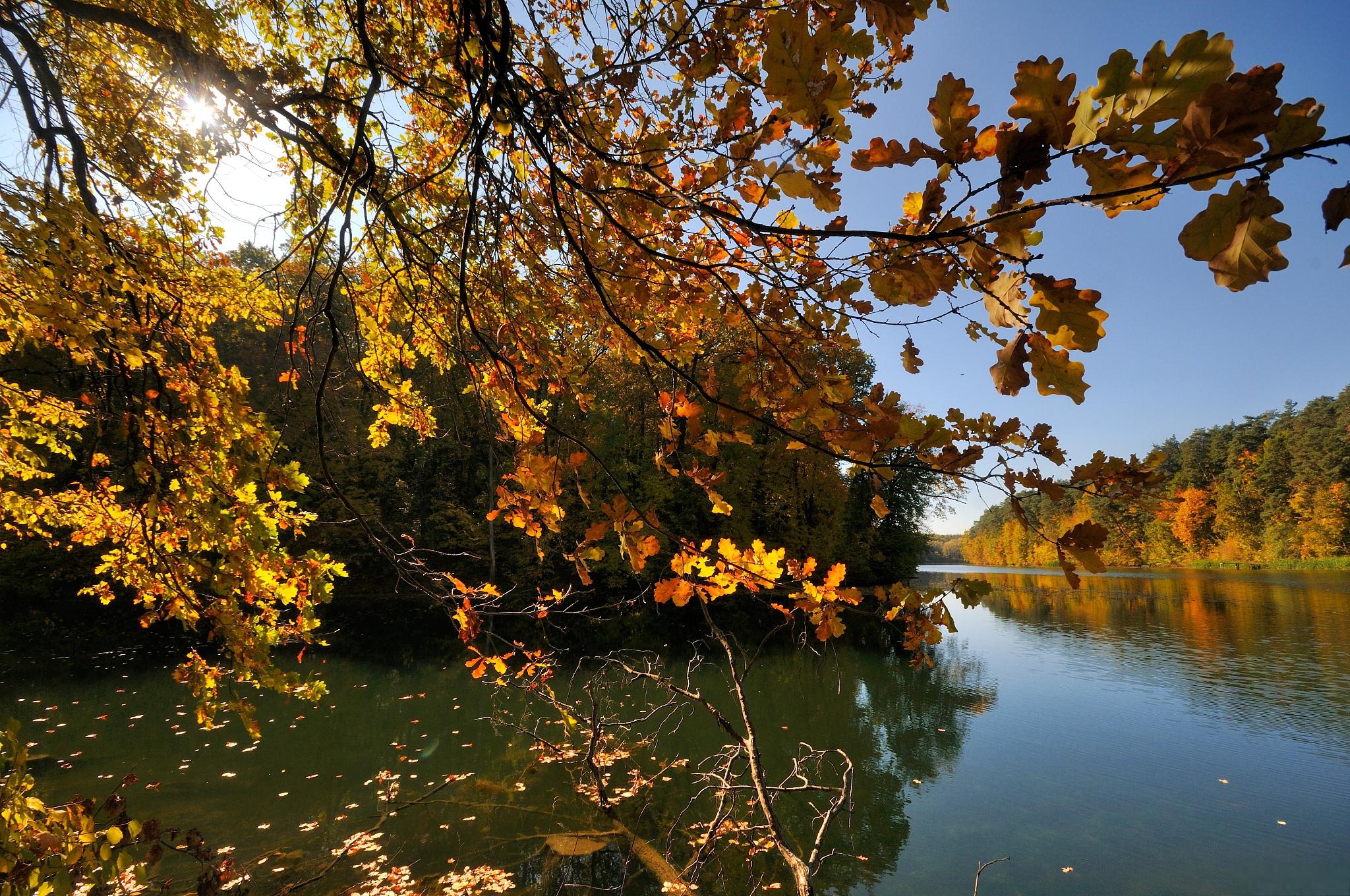与秋季美景相逢,别样的感觉 秋天是一个充满诗情画意的季节.