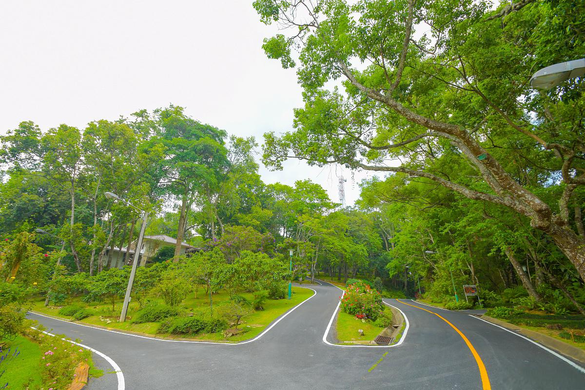 元朗大棠大榄郊野公园:香港的绿色宝地 在繁华的香港,有一片难得的