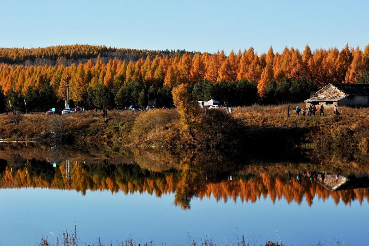 塞罕坝新老对比的美景 塞罕坝,位于中国河北省北部,是一个充满美丽和