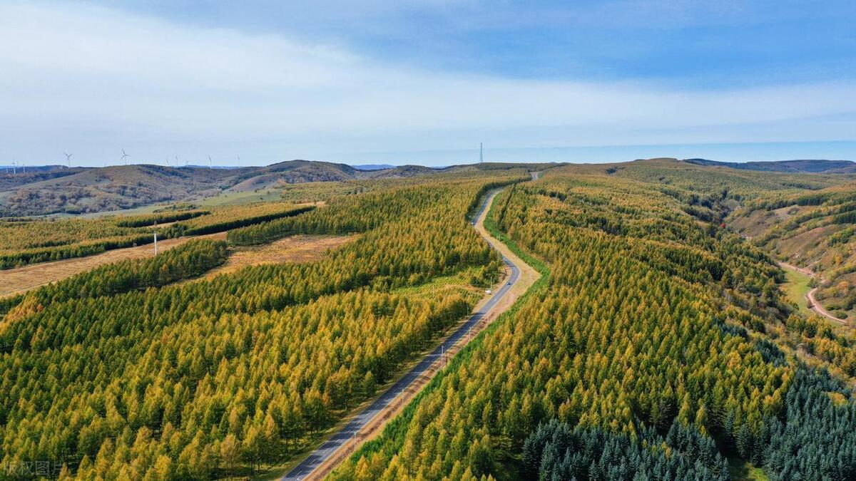 塞罕坝新老对比的美景 塞罕坝,位于中国河北省北部,是一个充满美丽和