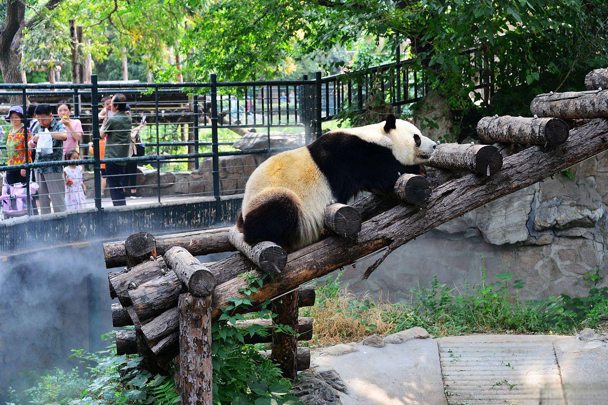 北京野生动物园游玩攻略 北京野生动物园是中国最大的动物园之一,集