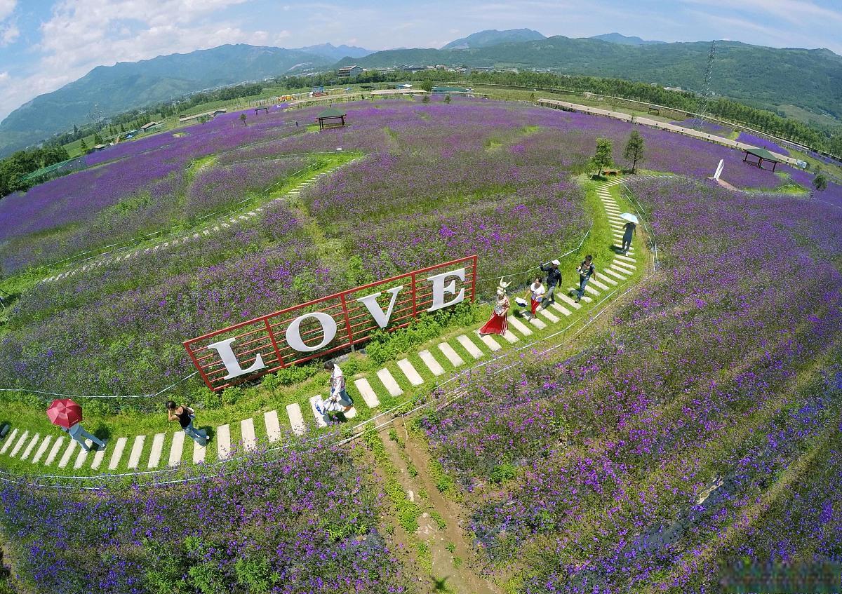 花田酒地旅游景区 花田酒地旅游景区,位于中国的美丽乡村,以其绚丽