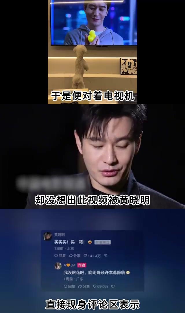 黄晓明想和杨颖复婚图片