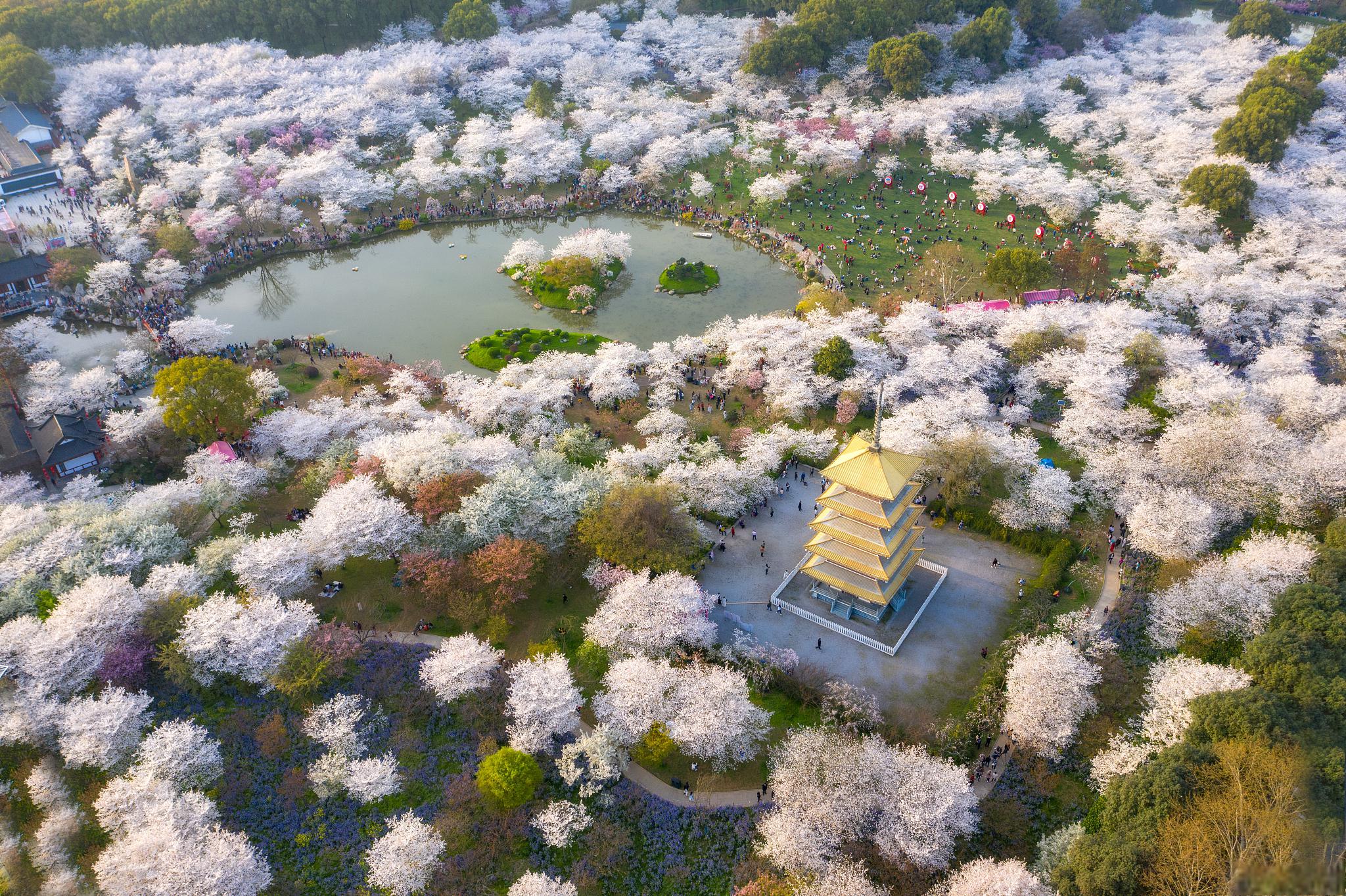 武汉东湖风景区攻略 武汉东湖风景区,这是湖北省首府武汉市的一颗明珠