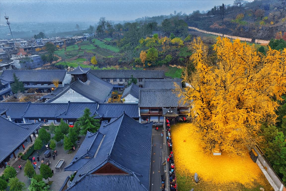 西安古观音禅寺图片