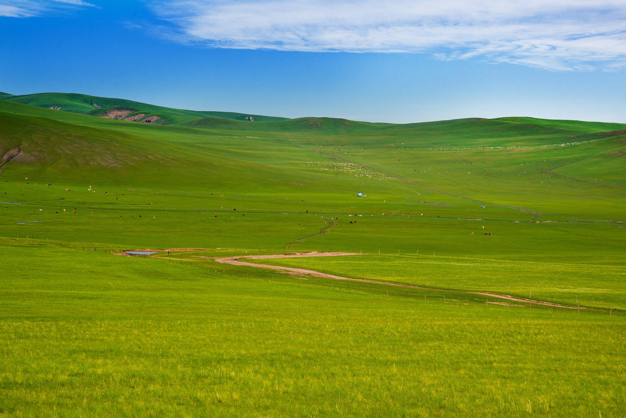 来内蒙古大草原吧 这里的风景如画