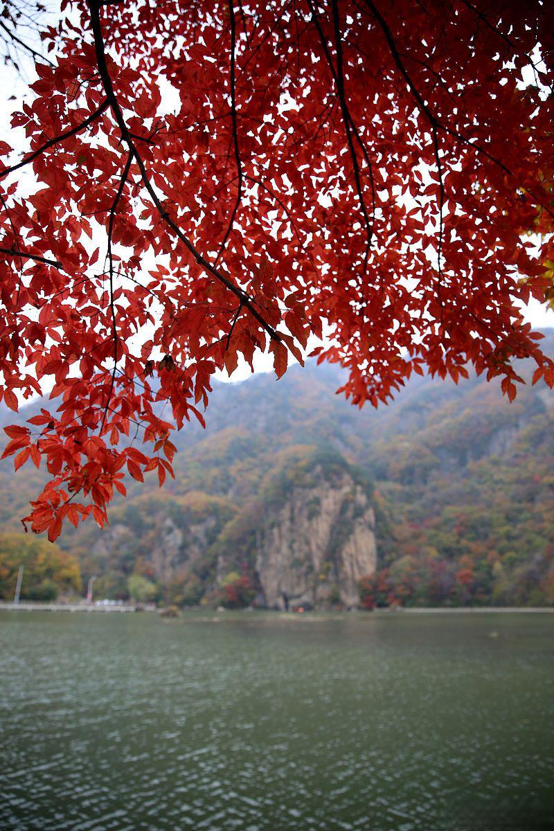 中国枫叶之都——本溪关门山国家森林公园美丽的枫叶是秋天的象征,而