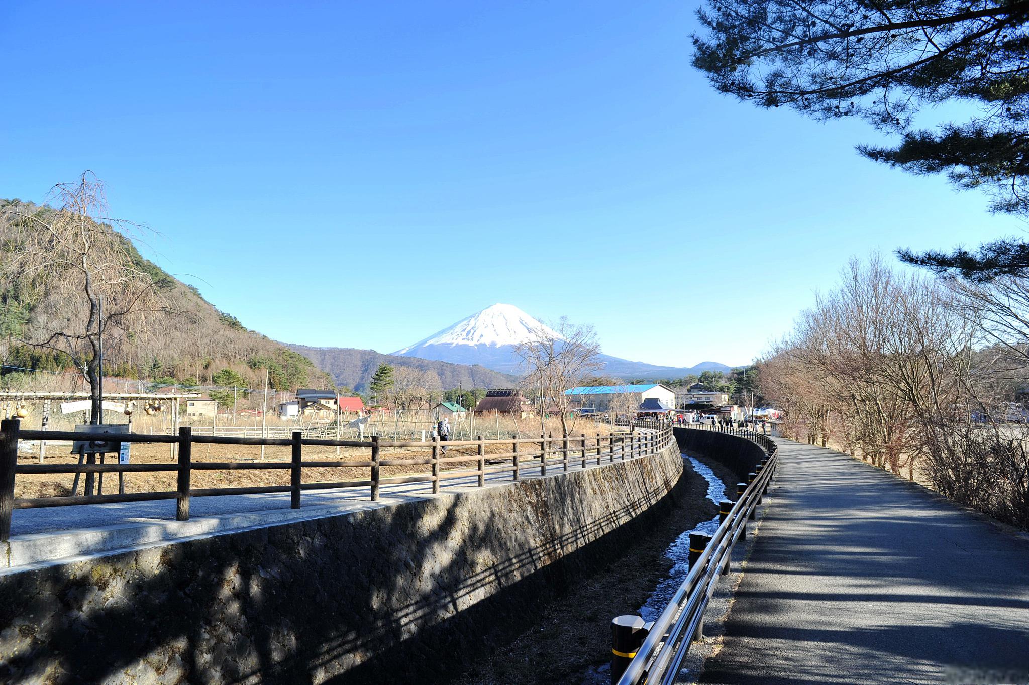 新潟县旅游攻略 日本的新潟县是一个美丽的地方,那里拥有丰富的自然