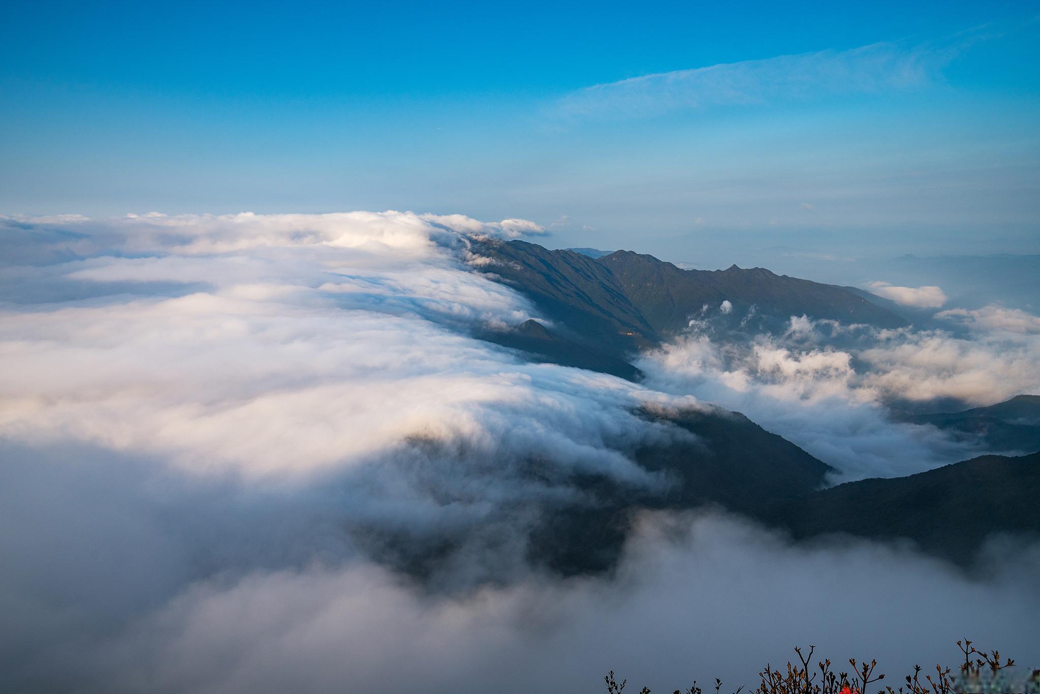 九华山云海图片