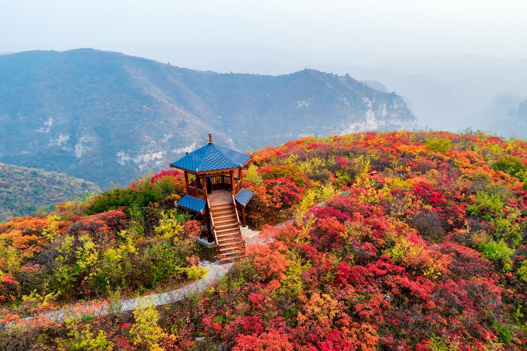 南阳老界岭风景区图片