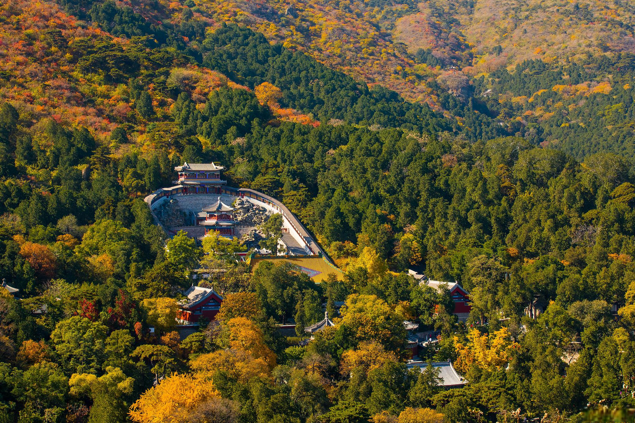 北京香山 全貌图片