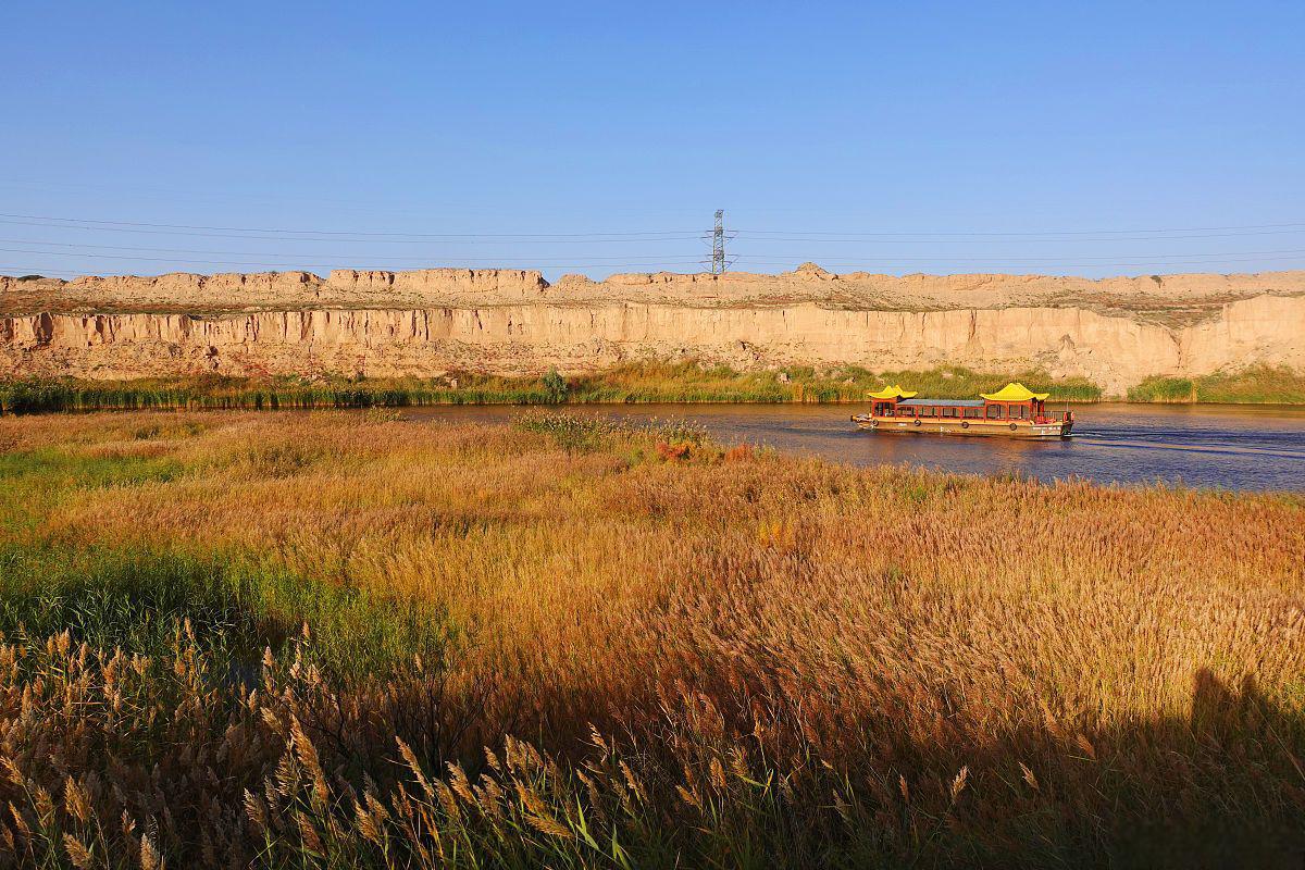水洞沟芦苇荡:秋季的金色画卷 位于宁夏回族自治区银川市灵武市临河镇