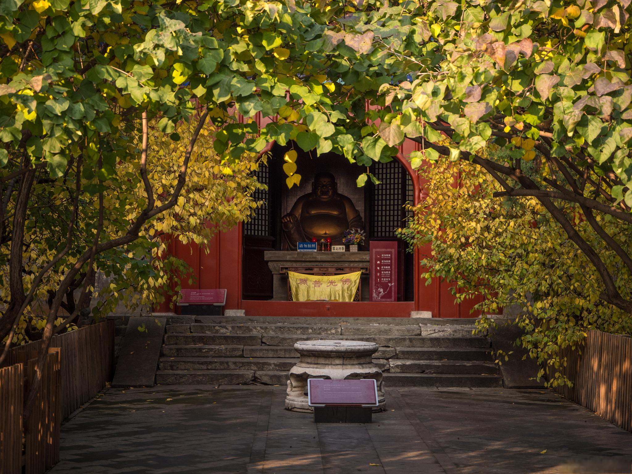 大觉寺的历史和文化内涵 大觉寺又称西山大觉寺,大觉禅寺,位于海淀区