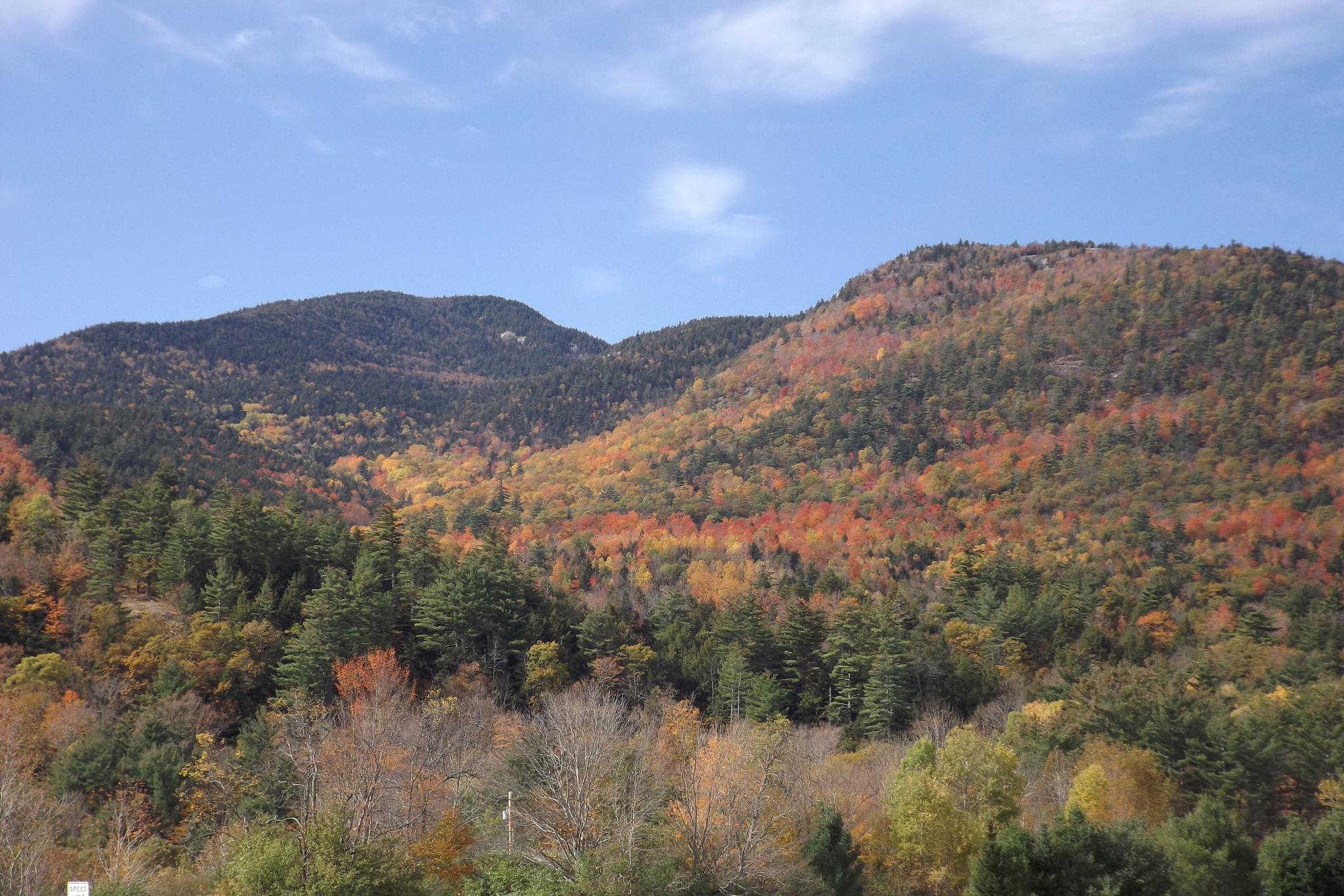 子午岭秋天的魅力 感受秋天的魅力,品味子午岭的美丽秋天,这是一个