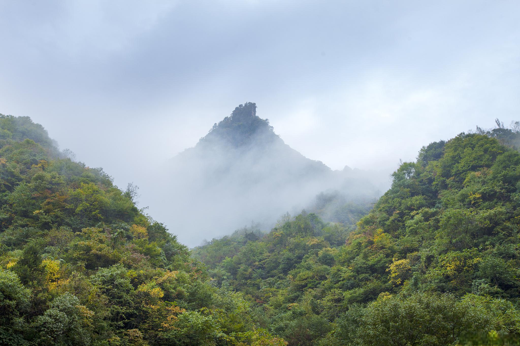 神龙架游玩攻略 神龙架是一个广袤而神秘的地方,位于中国湖北省的西北