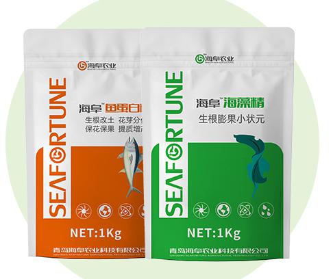 海藻精水溶肥的最佳使用时间 海藻精水溶肥是一种天然的植物生长调节