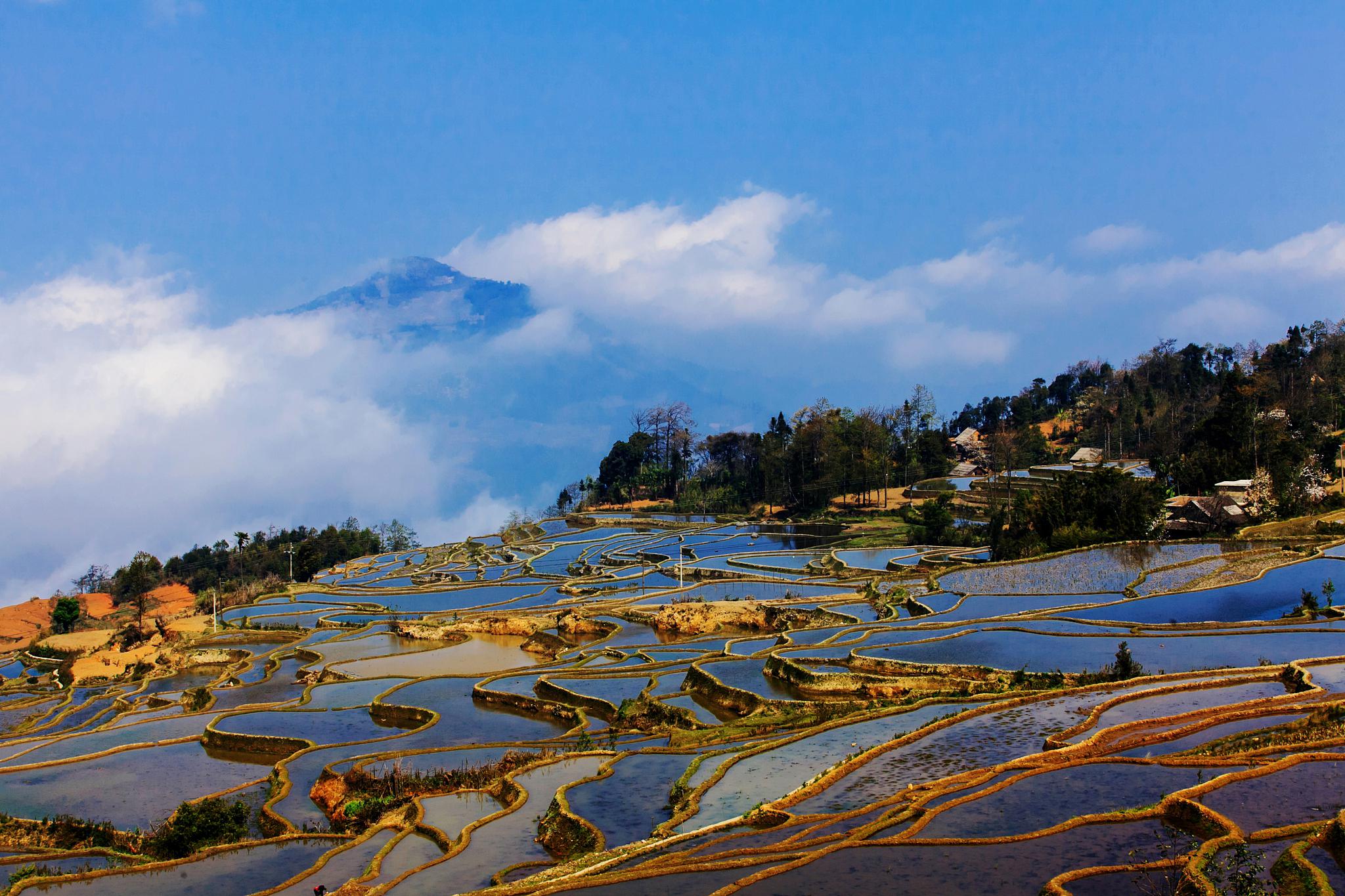 探索腾冲:一次不一样的云南之旅 在云南这个充满异域风情和自然美景的