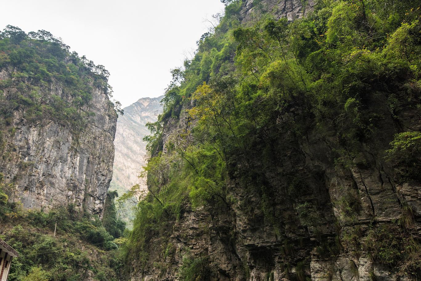 阿依河景区旅游攻略 阿依河景区位于重庆市彭水苗族土家族自治县,拥有