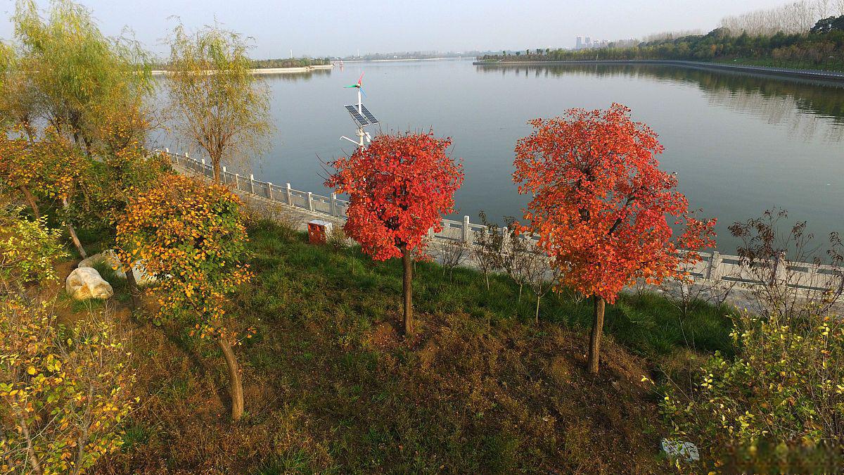 秋季新沂市旅游攻略 新沂市,这座位于江苏省北部的城市,以其丰富的