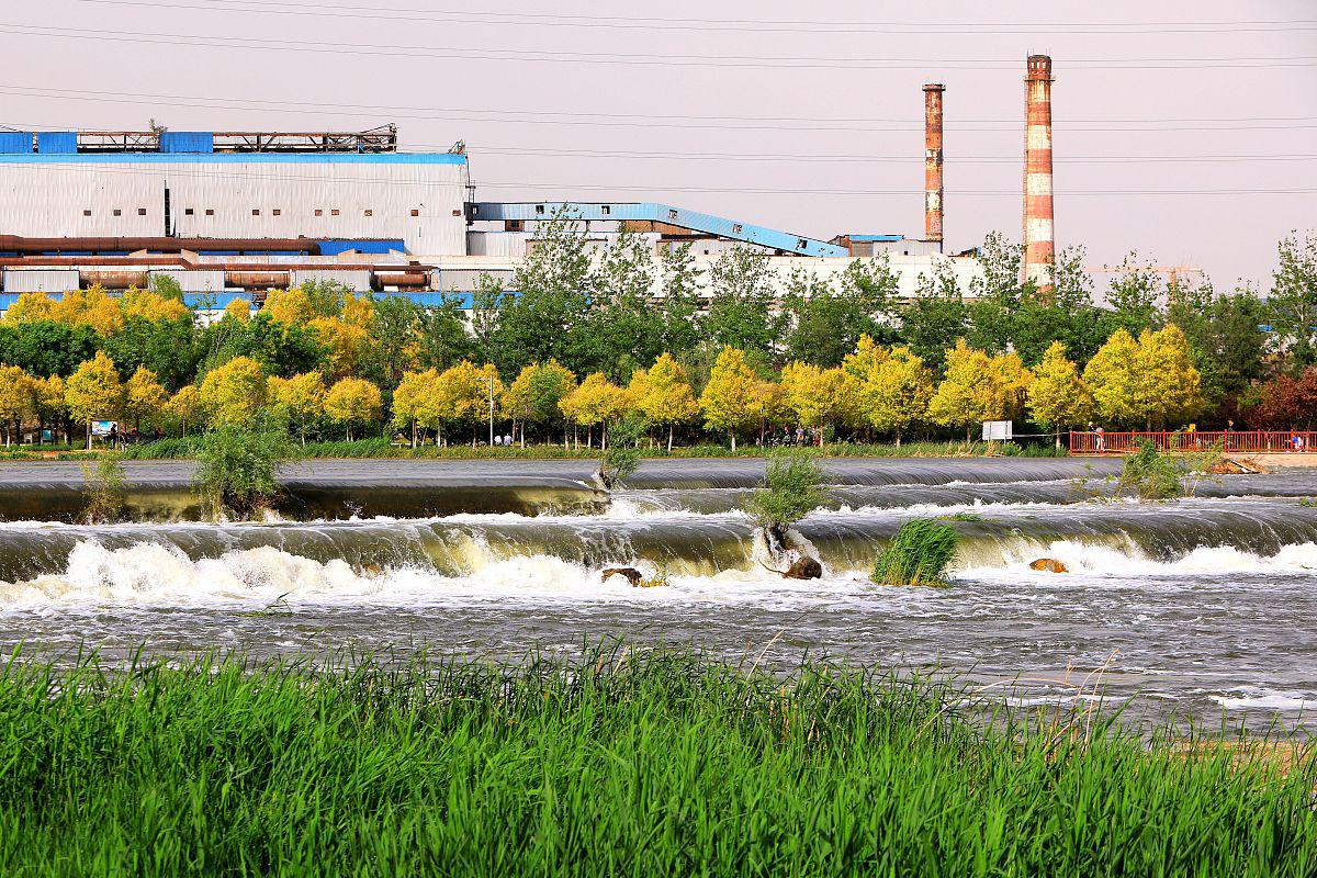 上海金山金水湖生态公园 上海金山金水湖生态公园,一个如诗如画的仙境