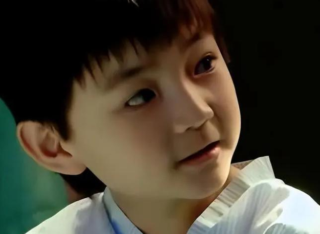 《海豚湾恋人》童星王欣逸杀人被判17年,现畏罪潜逃 童星王欣逸杀人被