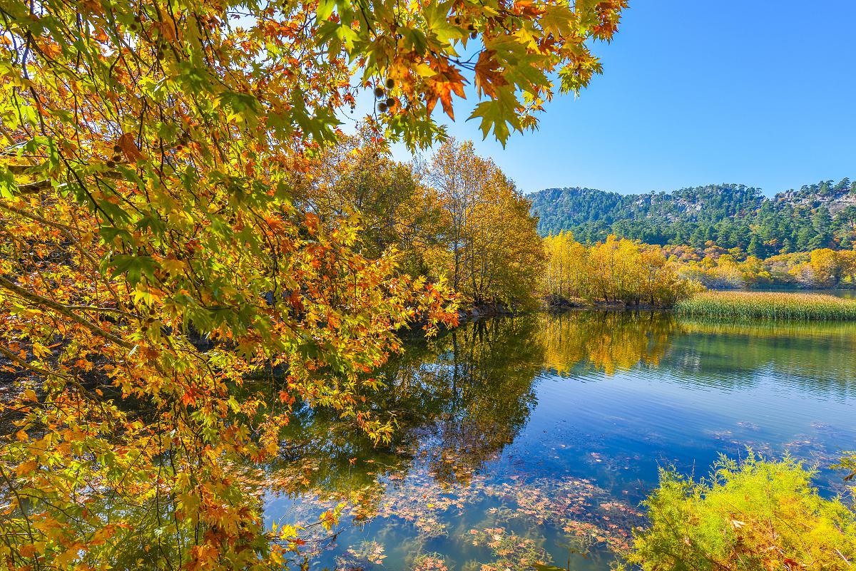 秋季放松身心,享受大自然 秋季是放松身心,享受大自然的绝佳时机