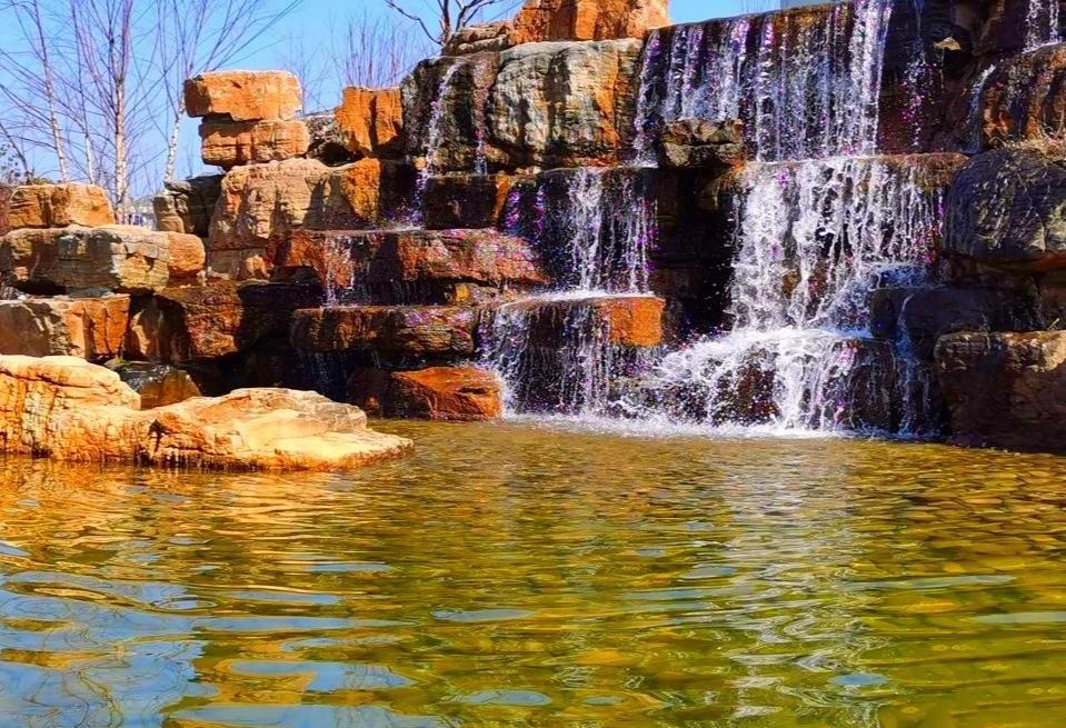 彭浦公园的春天 在上海市静安区的彭浦公园,春天的美景达到了巅峰.