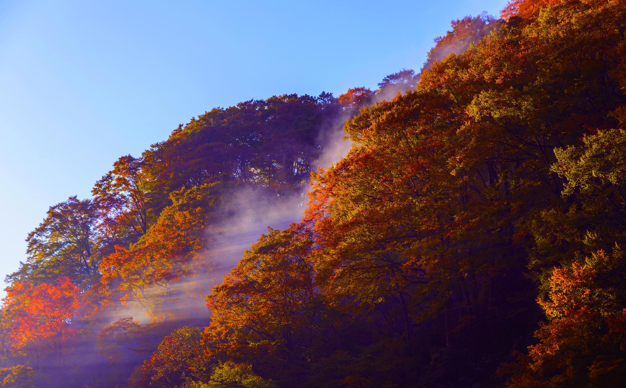 峨眉山最美的风景照片图片