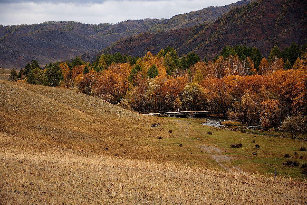 这个位于新疆伊犁哈萨克自治州的旅游胜地,以其壮美的自然风光和丰富