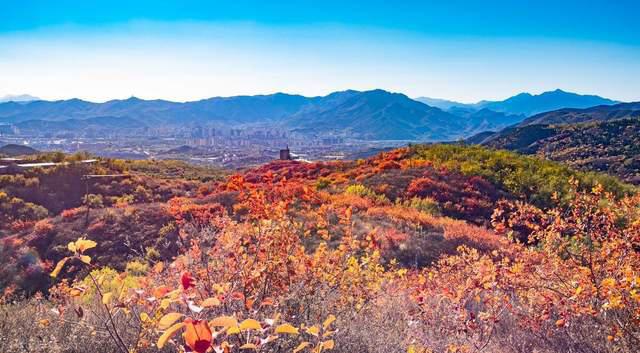 北京香山,秋天的红叶和历史文化 北京香山是一个集自然风光和文化底蕴