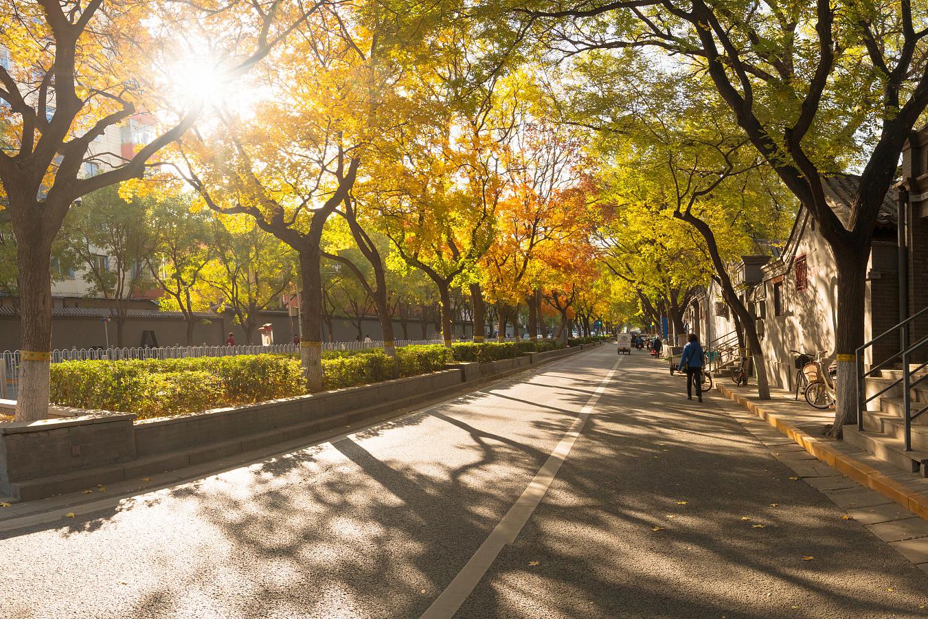 老舍笔下的阜景街 在北京的秋日里,当阳光温和地洒在古老的街道上,有