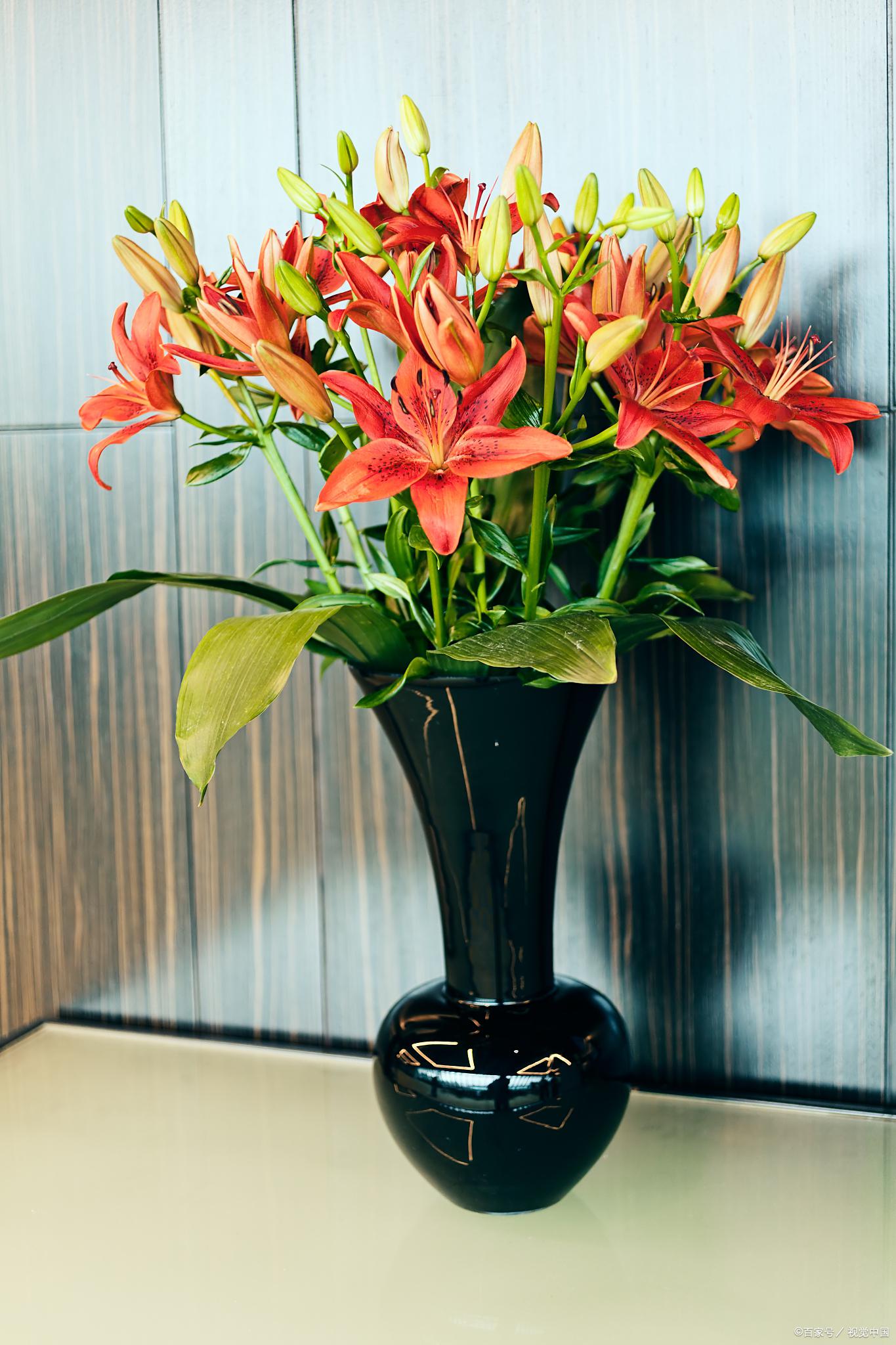 百合花插花技巧 在选择花材方面,百合花的数量宜少不宜多,以一朵为主